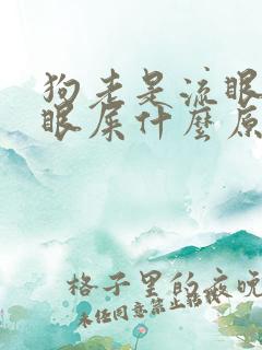 狗老是流眼泪有眼屎什么原因