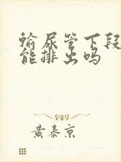 输尿管下段结石能排出吗