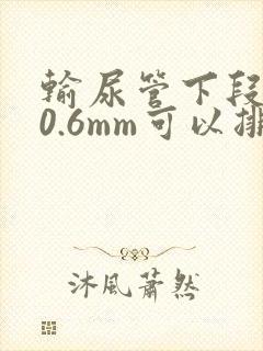输尿管下段结石0.6mm可以排出来吗?