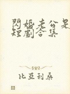 闪婚老公是豪门短剧合集