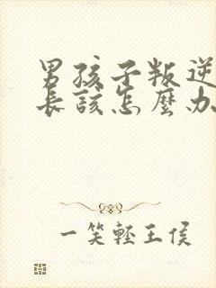 男孩子叛逆期家长该怎么办