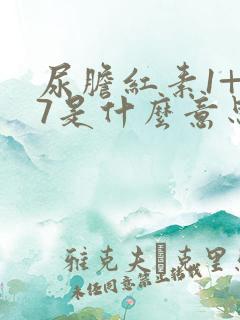 尿胆红素1+17是什么意思