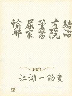 输尿管有结石去哪家医院治疗好