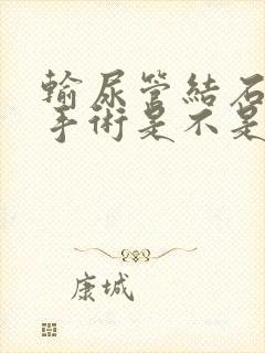 输尿管结石软镜手术是不是最高级的