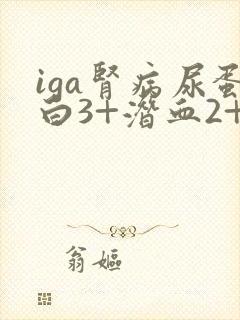 iga肾病尿蛋白3+潜血2+严重吗