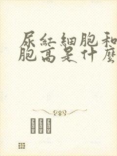 尿红细胞和白细胞高是什么原因引起的