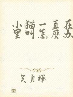 小猫一直在笼子里叫怎么办