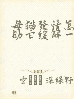 母猫发情怎么帮助它缓解一下