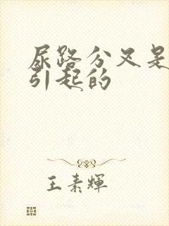 尿路分叉是怎么引起的