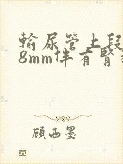 输尿管上段结石8mm伴有肾积水怎么办