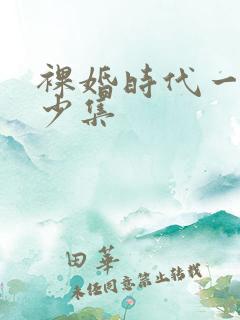 裸婚时代一共多少集