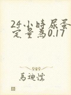 24小时尿蛋白定量为0.17