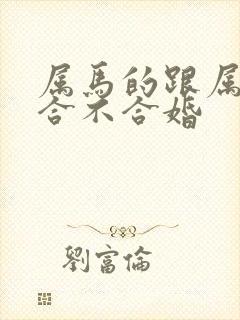 属马的跟属蛇的合不合婚