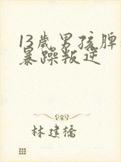 13岁男孩脾气暴躁叛逆