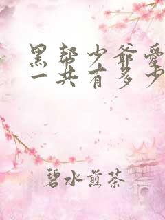 黑帮少爷爱上我一共有多少集