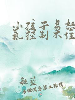 小孩子易怒发脾气控制不住怎么办