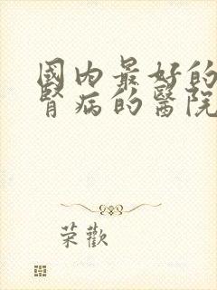 国内最好的治疗肾病的医院