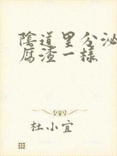 阴道里分泌物豆腐渣一样