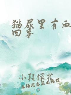 猫尿里有血怎么回事