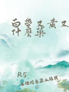 白带又黄又臭用什么药