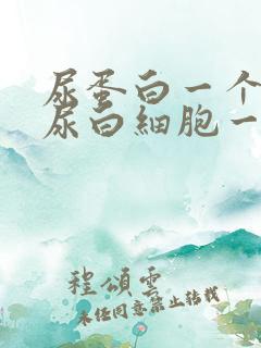 尿蛋白一个加号尿白细胞一个加号