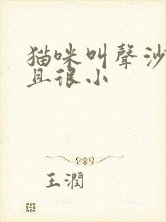 猫咪叫声沙哑而且很小