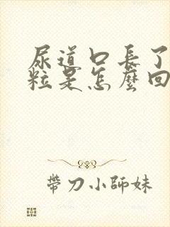 尿道口长了小颗粒是怎么回事