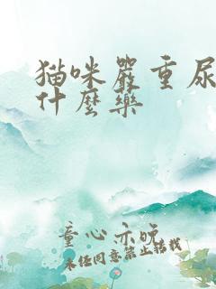 猫咪严重尿闭吃什么药