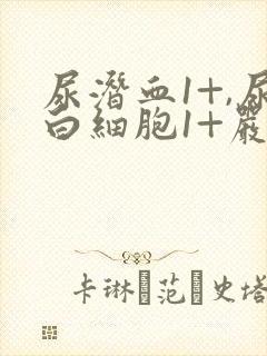 尿潜血1+,尿白细胞1+严重吗