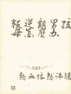 叛逆期男孩骂父母怎么办