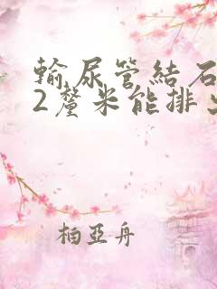 输尿管结石1.2厘米能排出来吗