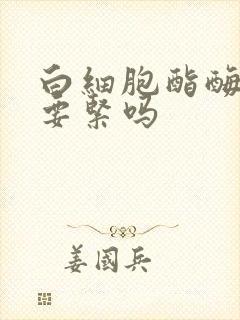 白细胞酯酶3+要紧吗