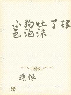 小狗吐了很多白色泡沫