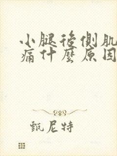 小腿后侧肌肉酸痛什么原因