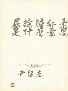 尿检胆红素+1是什么意思