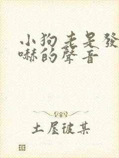 小狗老是发出呼哧的声音