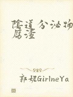 阴道分泌物向豆腐渣