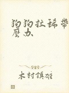 狗狗拉稀带血怎么办