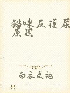 猫咪反复尿闭的原因