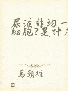 尿液非均一性红细胞?是什么意思