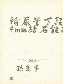 输尿管下段0.4mm结石能排出吗