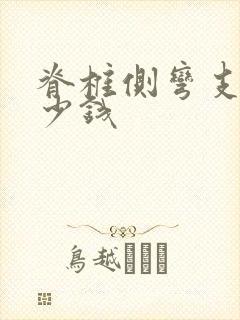 脊椎侧弯支具多少钱