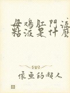 母鸡肛门流白色粘液是什么原因