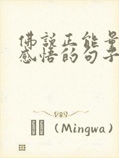 佛说正能量人生感悟的句子