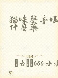 猫咪声音哑了吃什么药