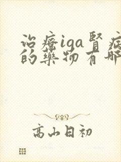 治疗iga肾病的药物有哪些