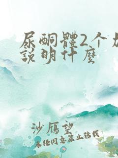 尿酮体2个加号说明什么