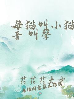 母猫叫小猫的声音 叫声