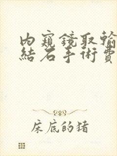 内窥镜取输尿管结石手术费用