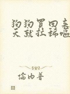 狗狗买回来第二天就拉稀呕吐怎么办